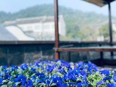-宁波柏悦酒店·钱湖渔港