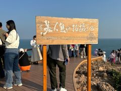-杨梅坑