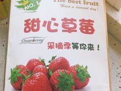 -甜心庄园·甜心草莓采摘园(西青中北店)