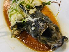 清蒸青斑鱼-鑫悦楼煎蟹·16年海鲜大排档