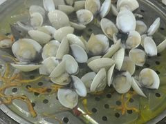-凯盈阁·顺德私房菜·桑拿鸡