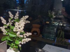 -春树下·树屋花房西餐厅(罍街AS1980店)