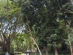 -深圳国际园林花卉博览园