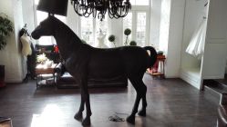 -纯色时光婚纱艺术馆WHITE