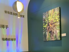 -烹然四季椰子鸡火锅(姚家园万象汇店)