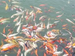 -北戴河圣蓝海洋公园