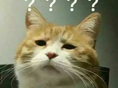 -必胜客(宝杨路宅急送店)