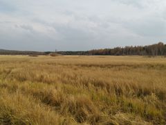 -塞罕坝国家级自然保护区