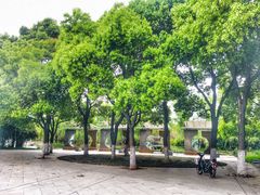 景点-昆山城市生态森林公园