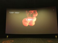 -上影国际影城(普陀绿地缤纷城店)