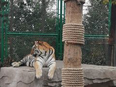 -上海野生动物园