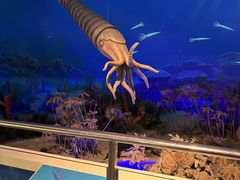 -国家自然博物馆