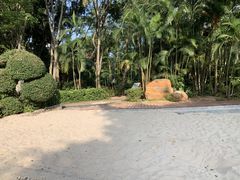 -深圳国际园林花卉博览园