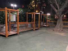 -东风公园