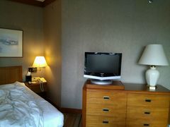 -新加坡瑞士史丹福酒店