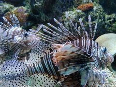 -大连老虎滩海洋公园