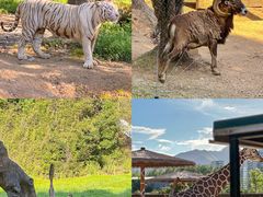 -杭州野生动物世界