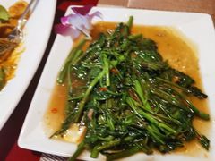 空心菜-Daddy Nimman Chiang Mai