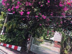 -普吉镇