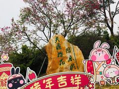 -天适樱花悠乐园
