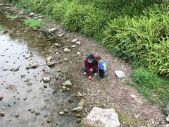 -龙头寺公园