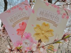 -桃花堤公园
