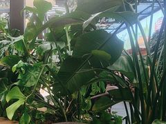 -杯莫亭(集里店)