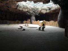 -鄂尔多斯野生动物园