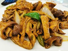 -宝发园名菜馆