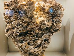 -甘肃地质博物馆