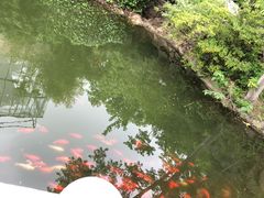 -石老人观光园