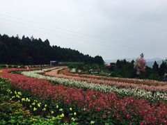 -中国香山·寿香谷