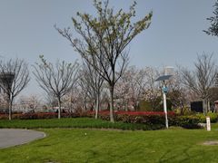 -上海山野camping·户外天幕烧烤·团建拓展营地