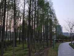 -尚贤河湿地