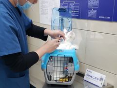 -申普宠物医院·眼科·心内科·影像科(普陀分院)