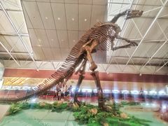 -诸城市恐龙博物馆