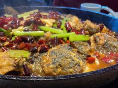 -老板恋上鱼(恒隆广场店)