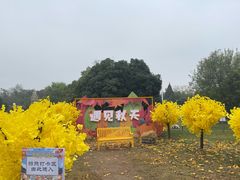 -祥源·阜阳生态乐园