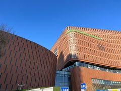 -中国宋庆龄青少年科技文化交流中心