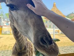 -西霞口神雕山野生动物世界