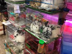 -双季花艺园艺市场(浦东店)