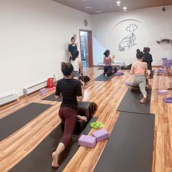 点击看大图 -翎兰瑜伽·普拉提