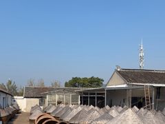 -苏州市吴中区光福窑上花果蜜饯厂