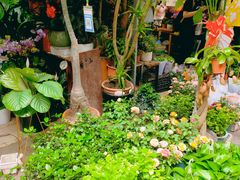 -循礼门鲜花花市(武汉循礼门店)