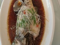 清蒸鲈鱼-和平官邸·花园餐厅(武定西路店)