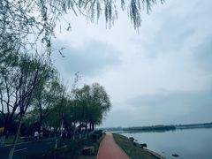 -丁香湖公园