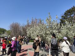 -元大都城垣遗址公园