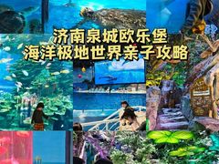 -泉城欧乐堡梦幻世界