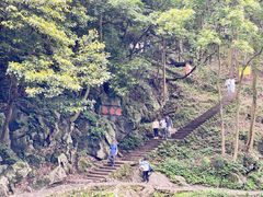 -灵隐飞来峰景区