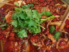 -双流老字号董蹄花(机场南四路店)